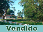 Vendido