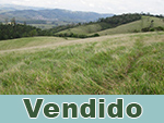 Vendido