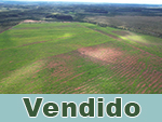 Vendido